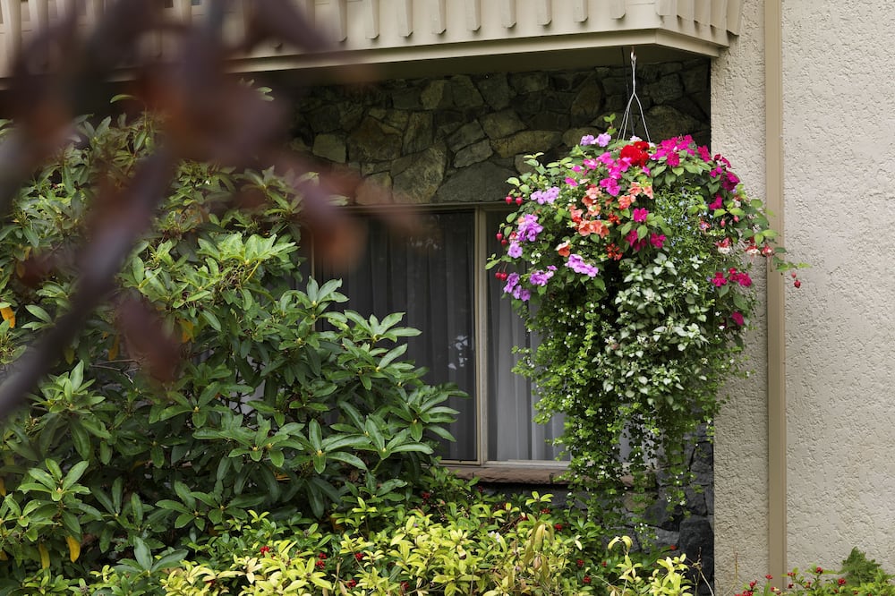 ロイヤル スコット ホテル&スイーツ 写真