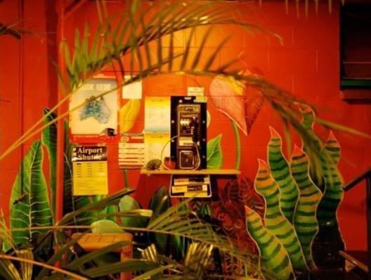 ドリームタイム ホステル 写真