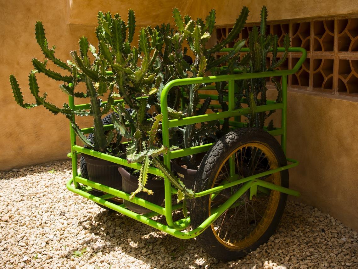 ホテル バリオ ラティーノ 写真