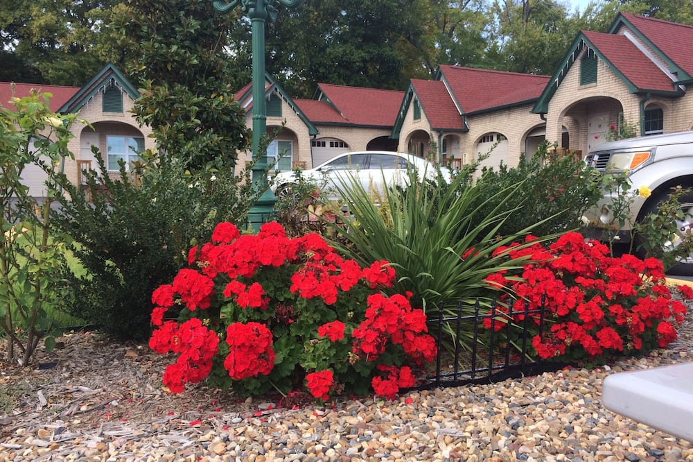 ベスト コート 写真