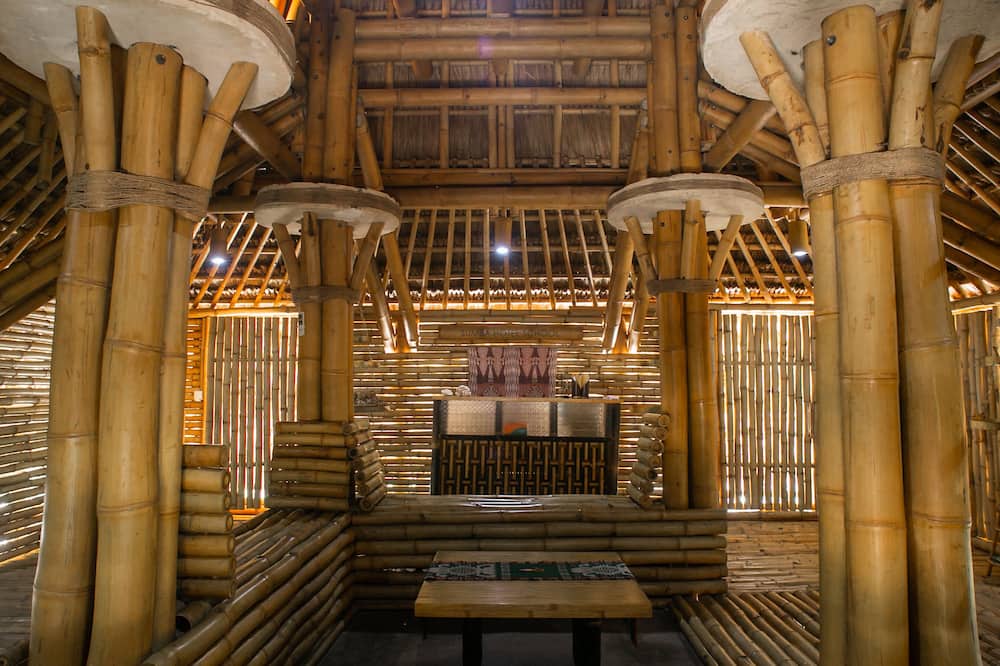 マリンギスンバ 写真