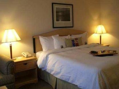 ハンプトン イン ＆ スイーツ サンフランシスコ バーリンゲーム エアポート サウス 写真