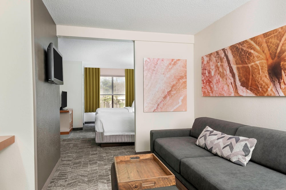 SpringHill Suites by Marriott Asheville 写真