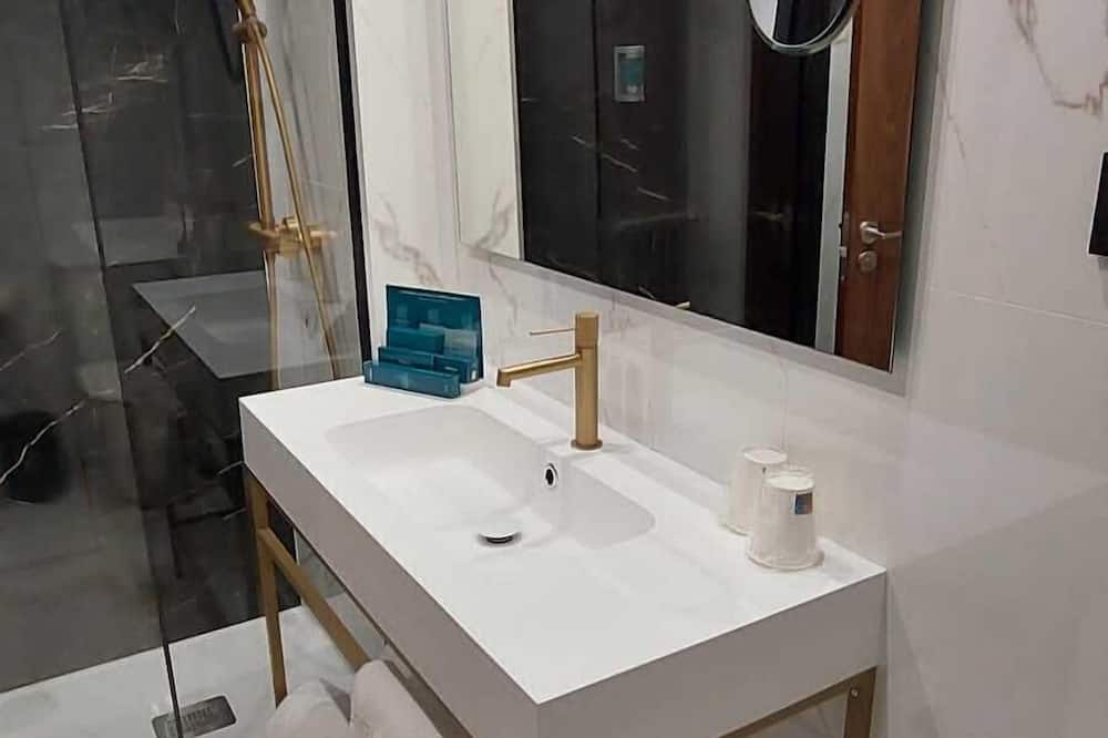 シルケン ルイス デ レオン ホテル 写真