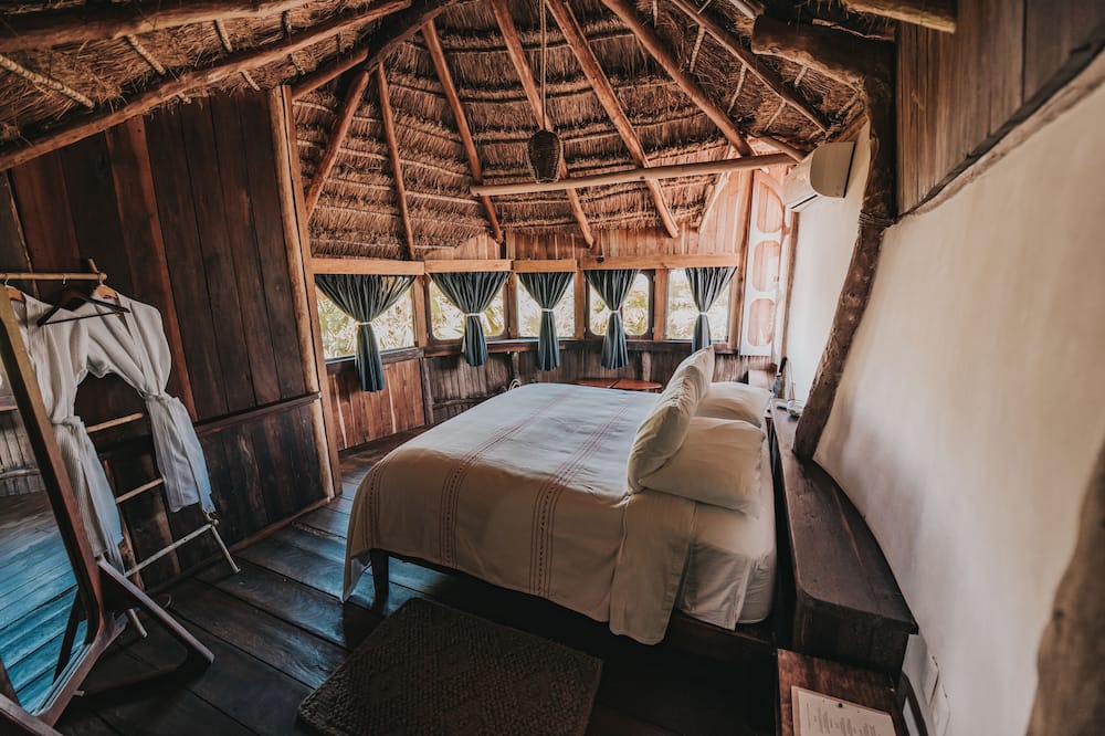 パパヤ プラヤ プロジェクト 写真