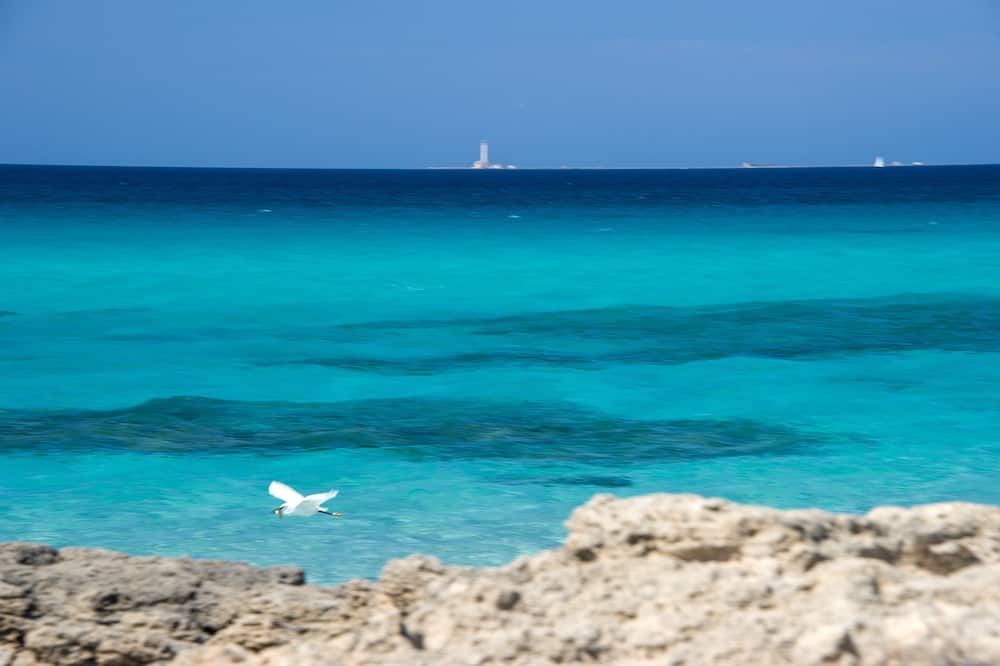 Joli Park Hotel - Caroli Hotels 写真