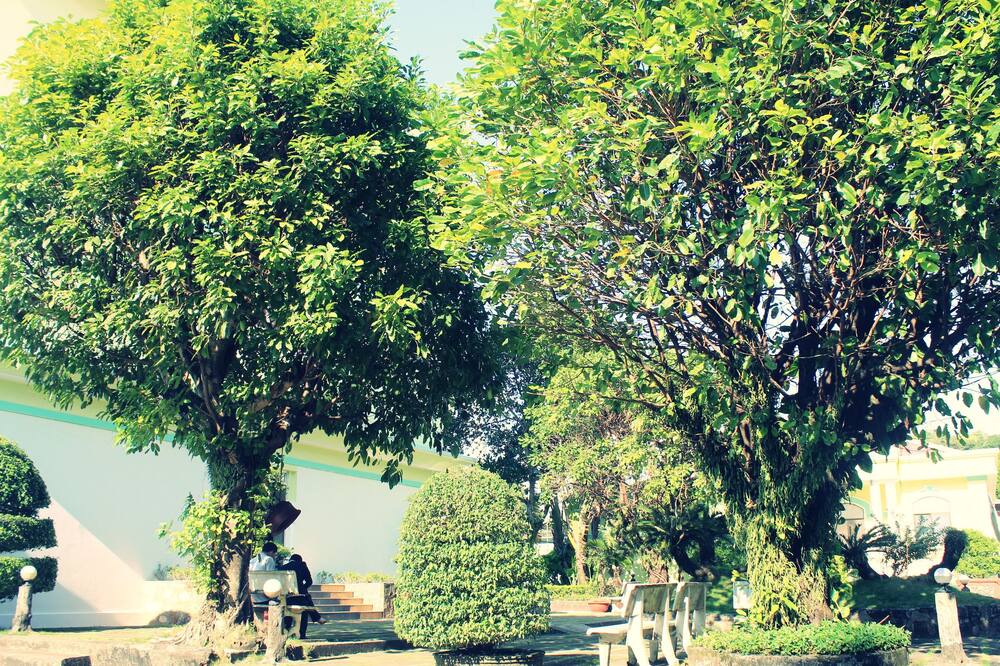 ハワイ リゾート フーコック 写真