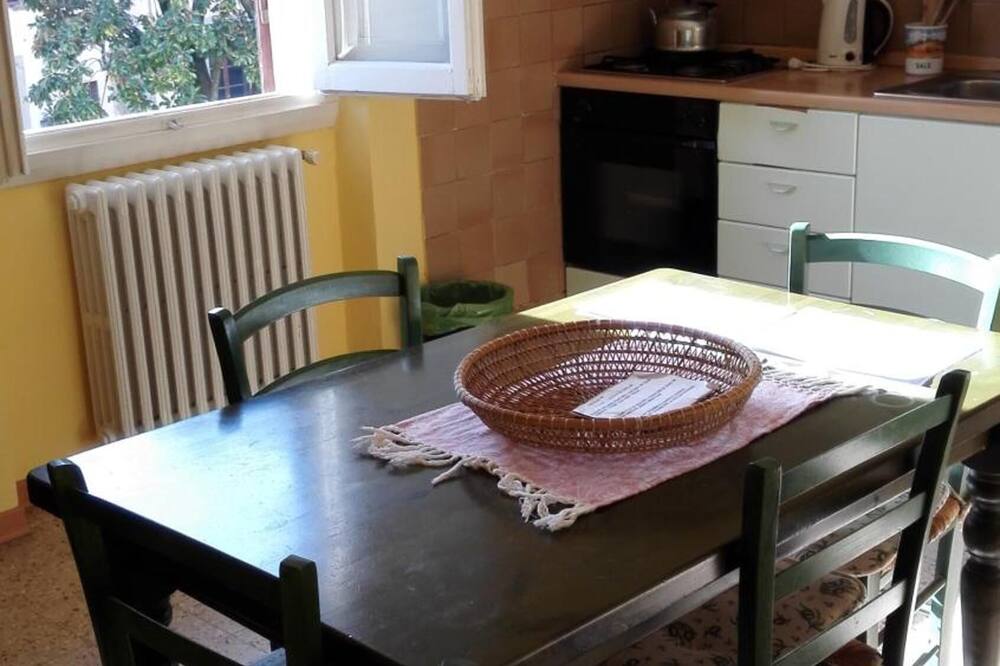 テル ダリ 写真