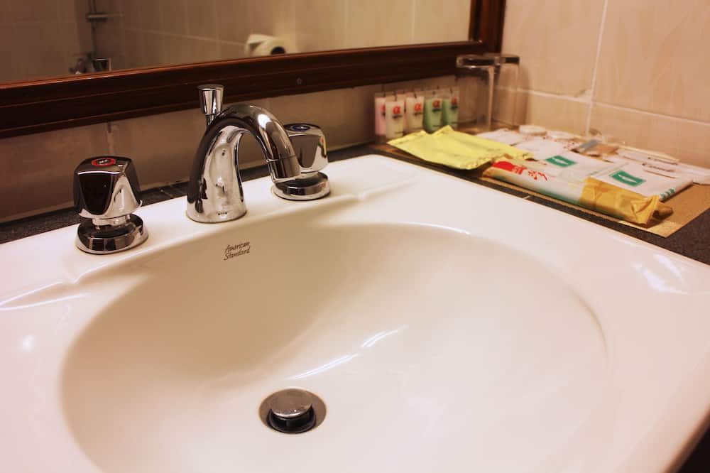 アルファ ホテル 写真