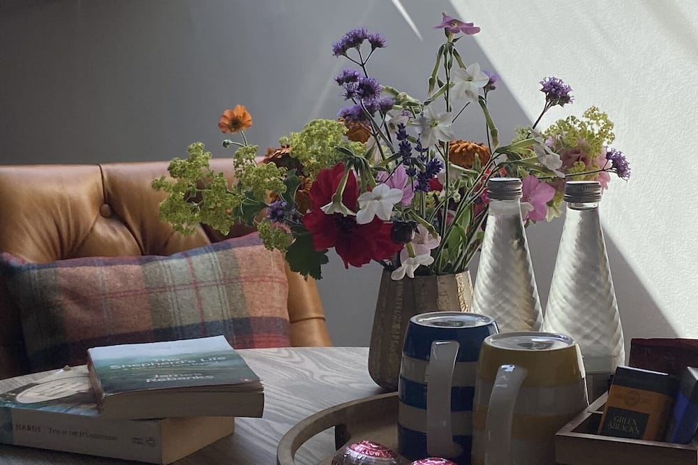 ザ カントリーマン イン 写真