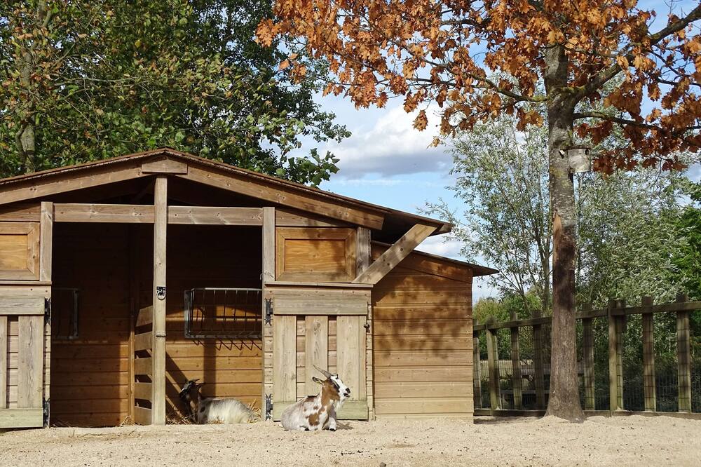 カンパニール ヴァル ドゥ フランス 写真