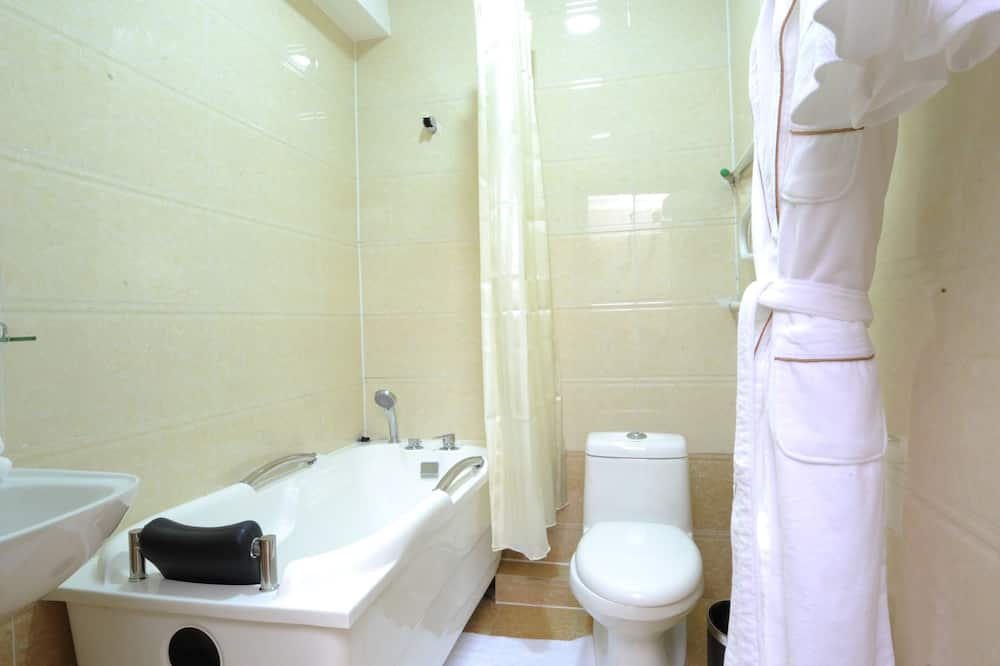 アルファ ホテル 写真