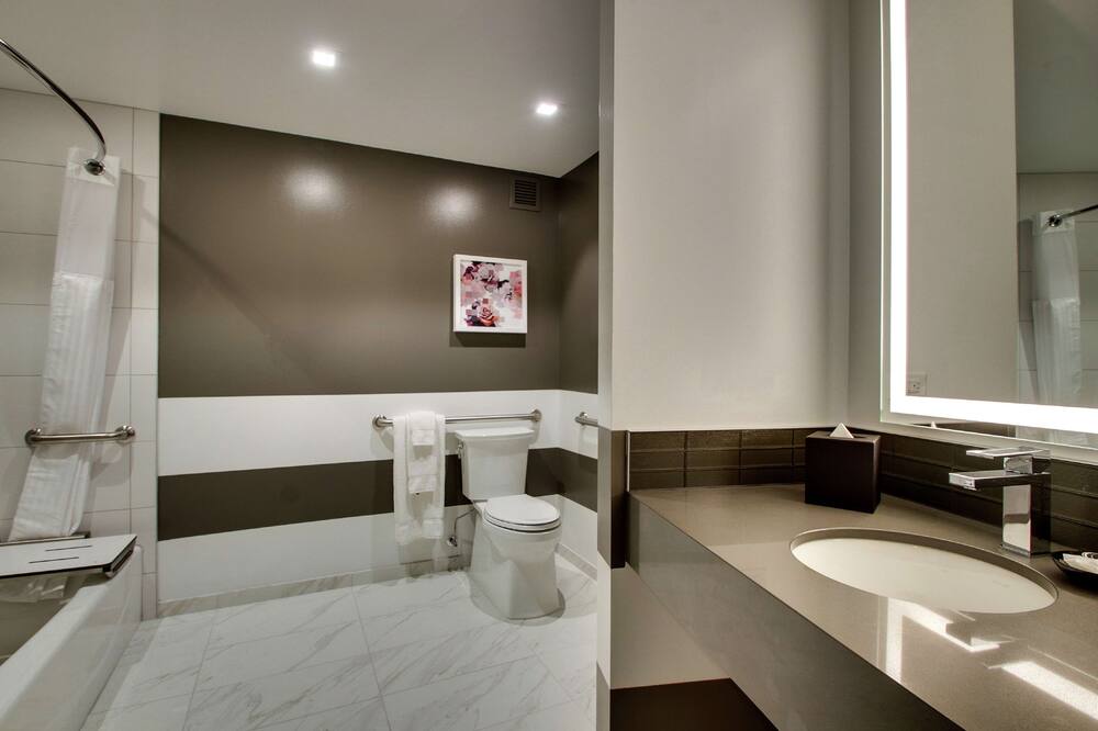 ザ ローズ ホテル シカゴ オヘア タペストリー コレクション バイ ヒルトン 写真