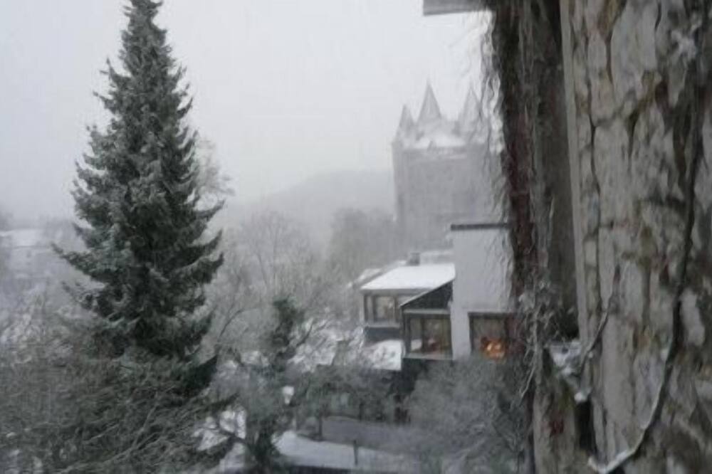 ラ リブレリー 写真