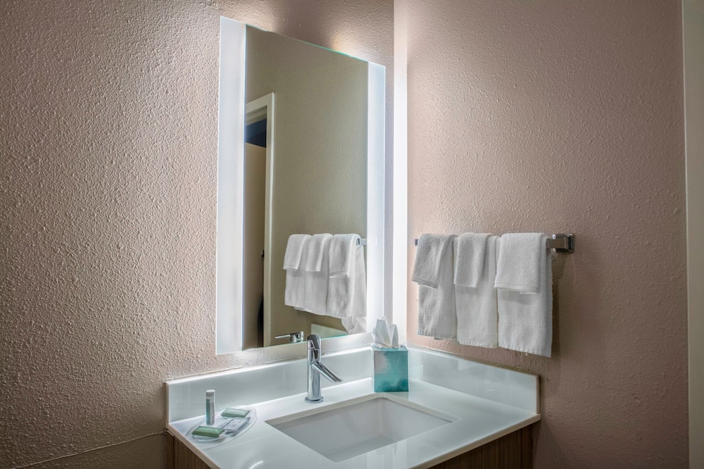 SpringHill Suites by Marriott Baton Rouge South 写真