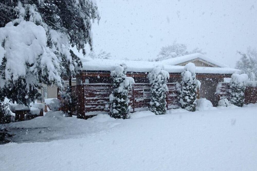 スプリングフィールドモーテル 写真