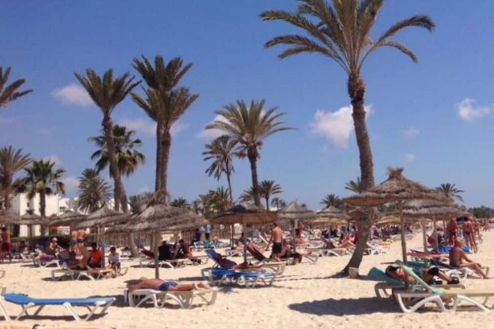 シーベル アラデン 写真