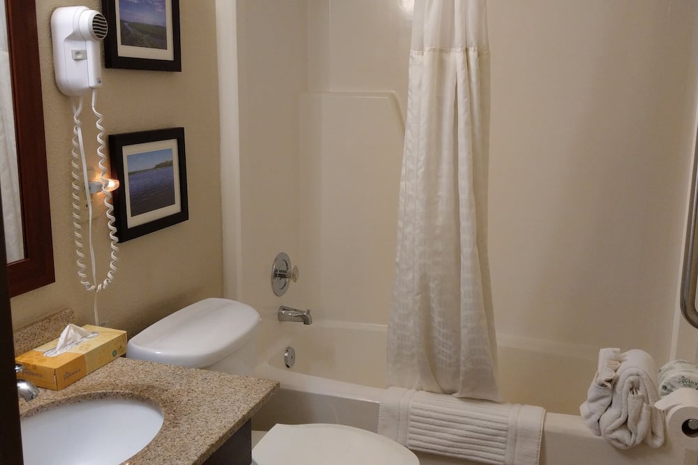 コンフォート イン & スイーツ ロシェル - デカルブ 写真