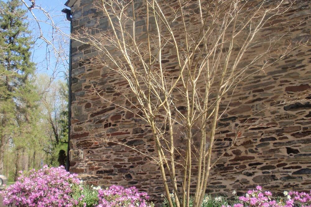 イン アット グレンケアン 写真