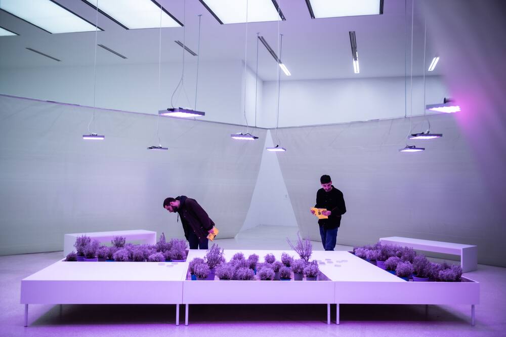 ホテル オーロラ 写真