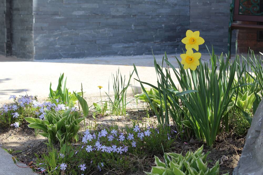 コンフォート イン チャタム 写真