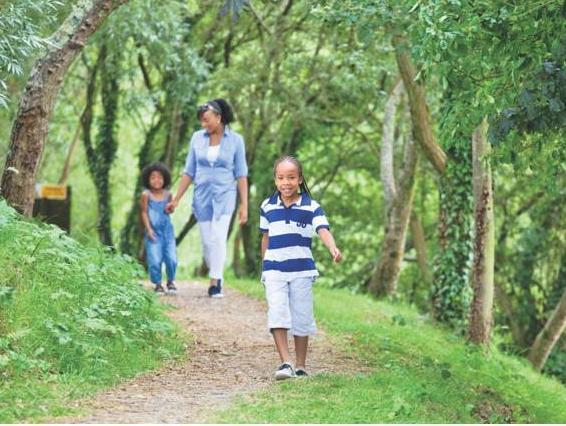 Rookley Country Park 写真