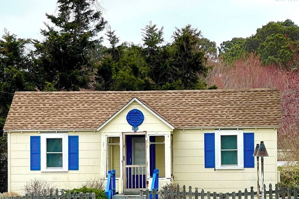 マドックス イン 写真