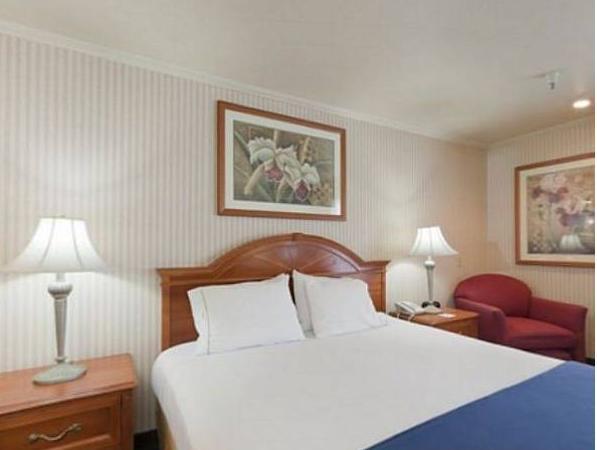 ホテル インディゴ アナハイム バイ IHG 写真