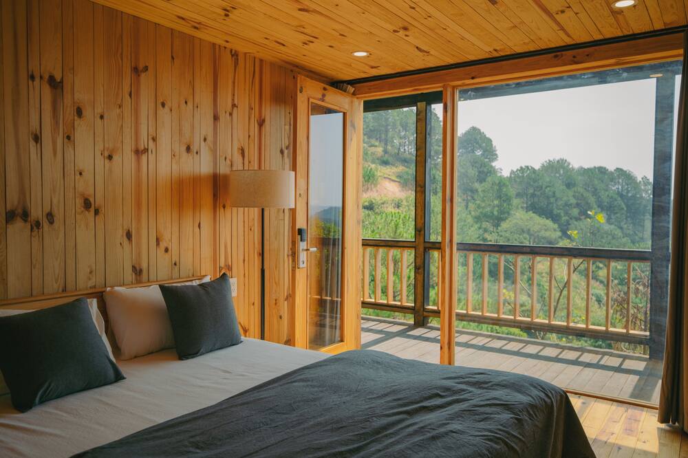 ラベンダーダラット 写真