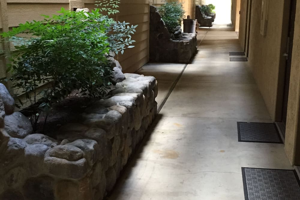 マイナーズ イン 写真