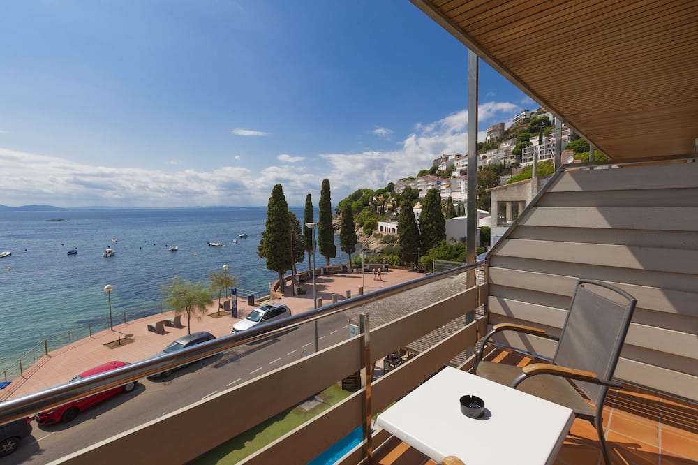 カニェリェス プラッチャ 写真