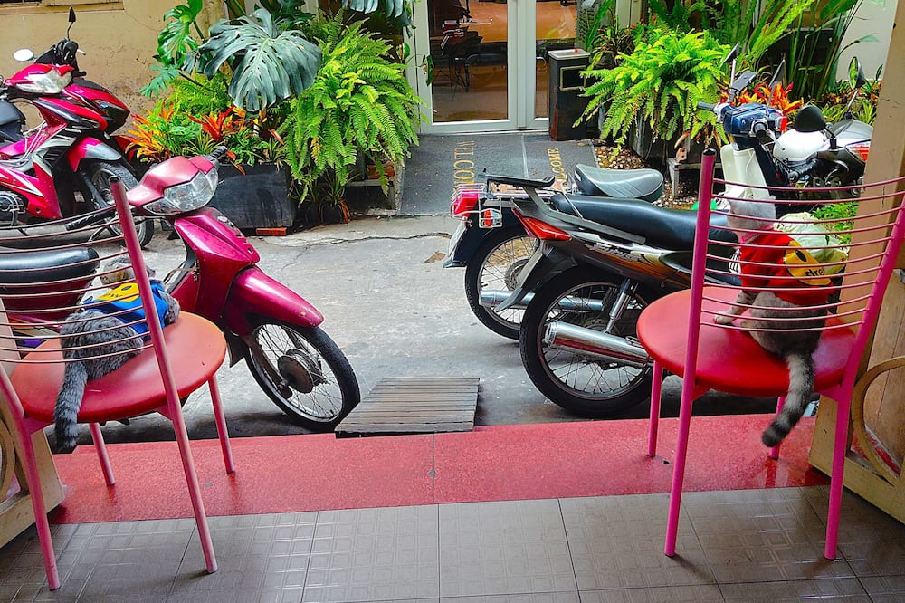 サクラ ホステル サイゴン 写真