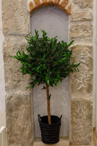 Stara Kala Varos Apartment 写真