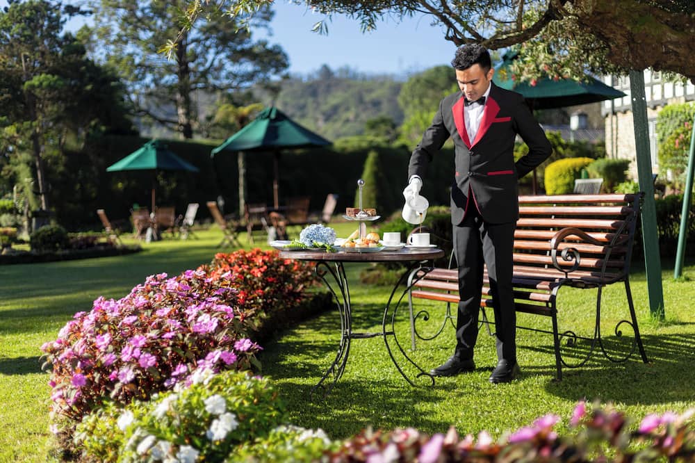 ザ ヒル クラブ 写真