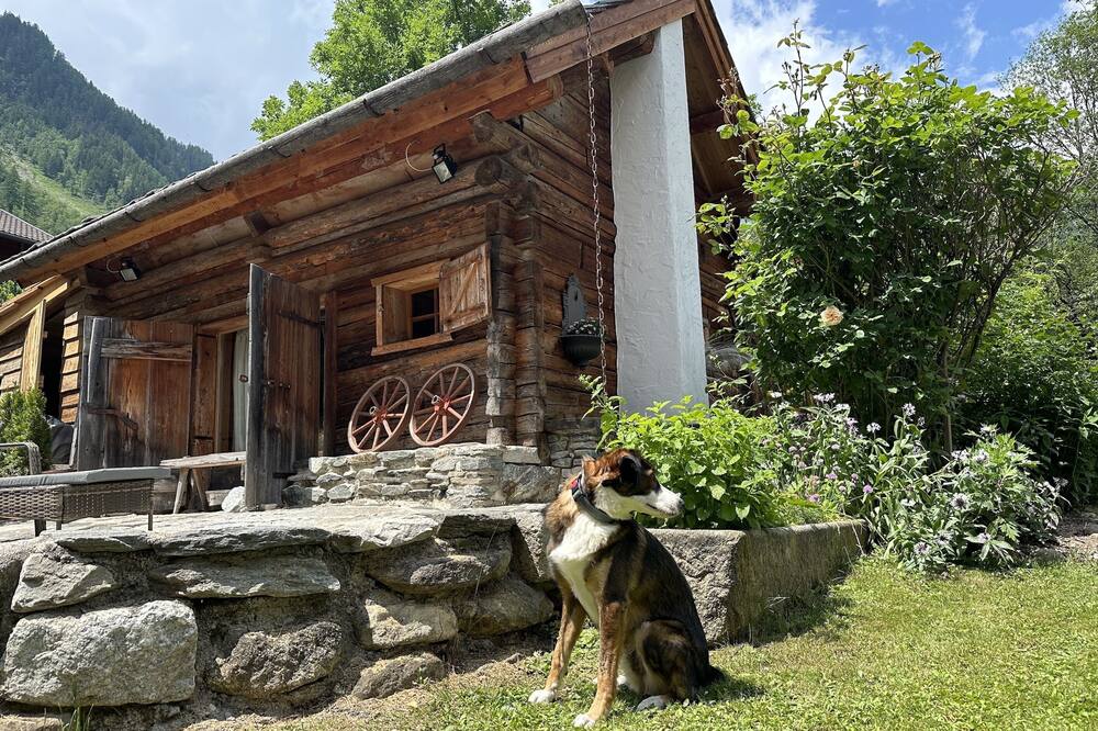 シャレードルフ エッガーフェルト 写真