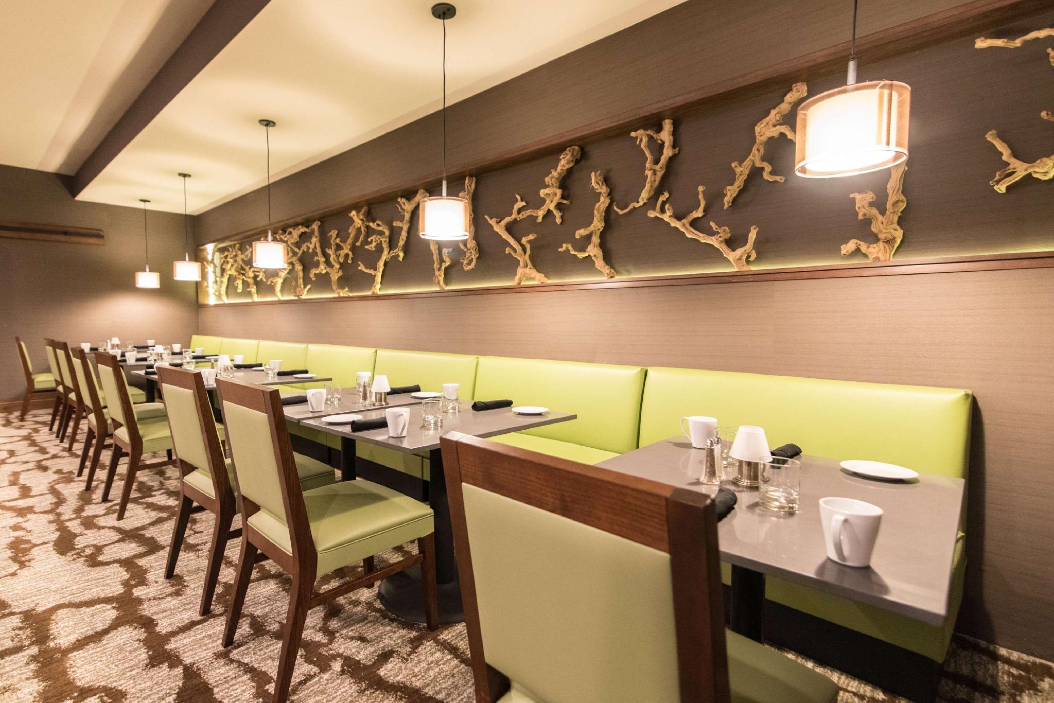 Wyndham Garden Westlake 写真