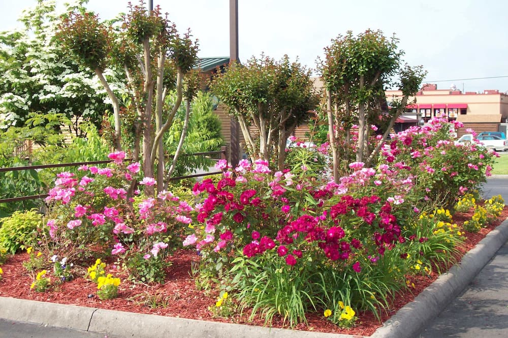 クオリティ イン クリントン - ノックスビル ノース 写真