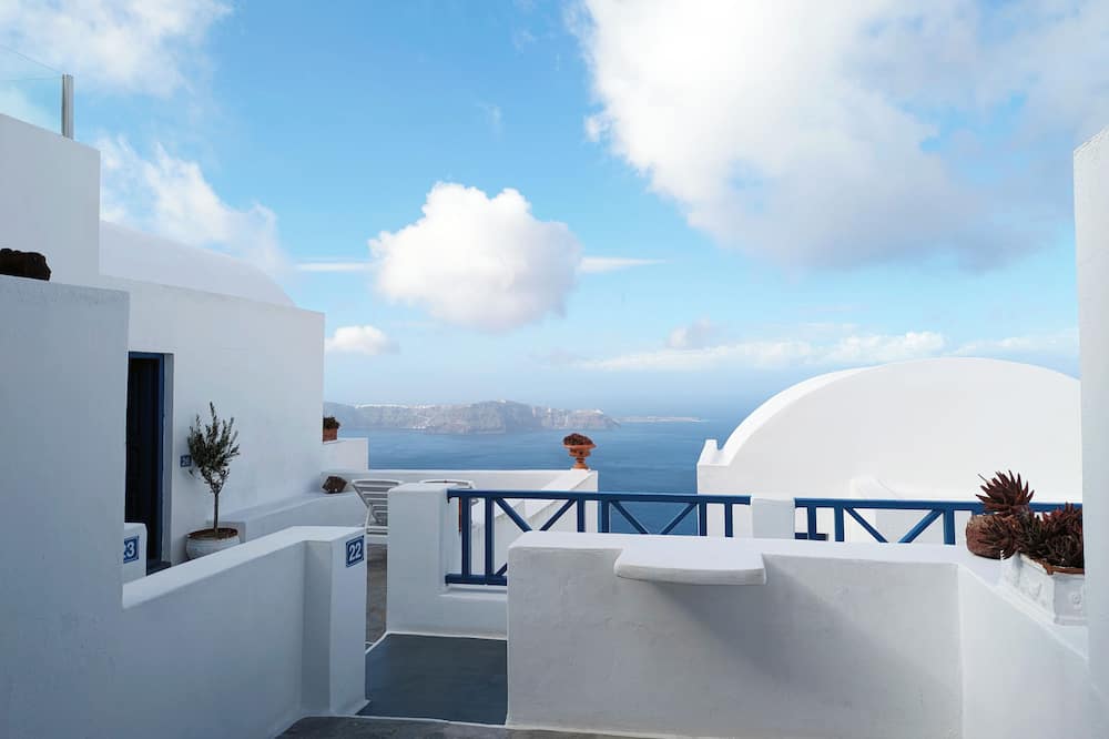 ヘリオトポス 写真