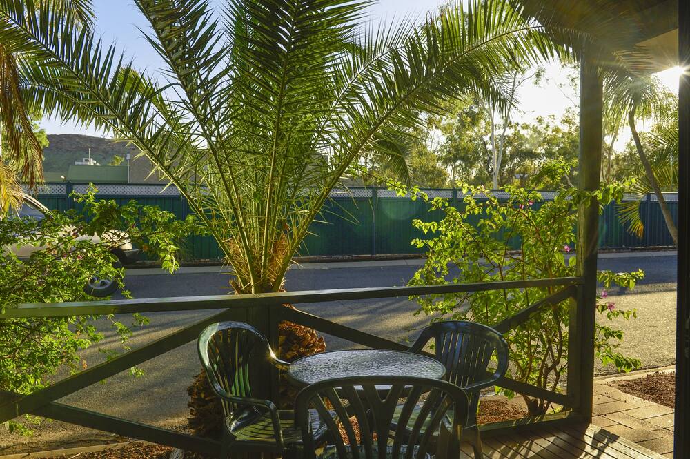 デザート パームス アリス スプリングス 写真