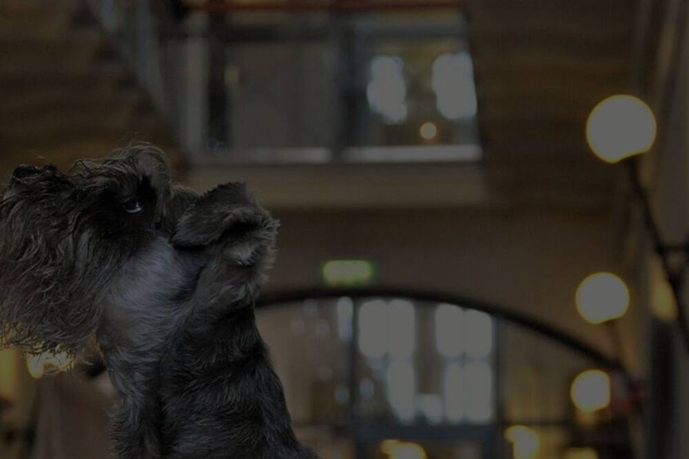 ラングホルメン ホテル 写真