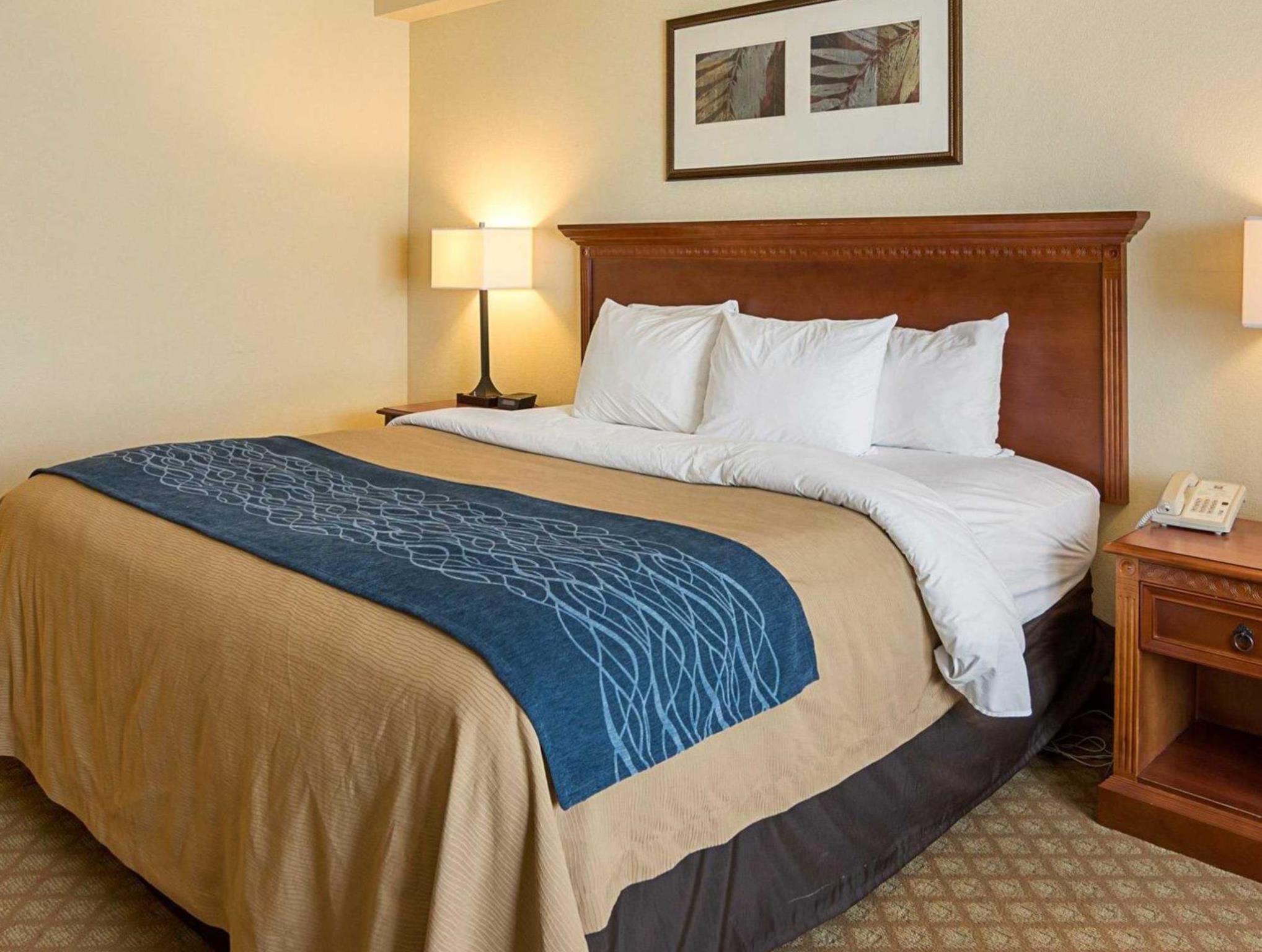 コンフォート イン & スイーツ バージニア ビーチ - ノーフォーク エアポート 写真