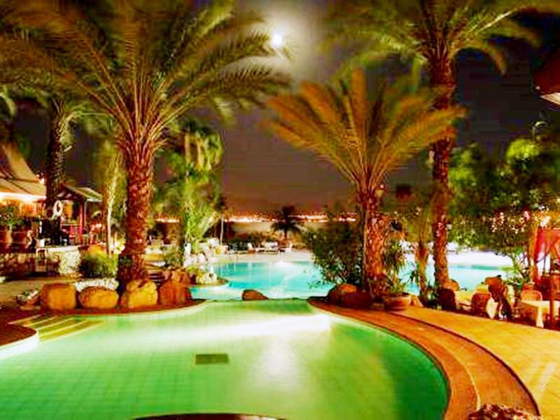 オーキッド エイラット 写真