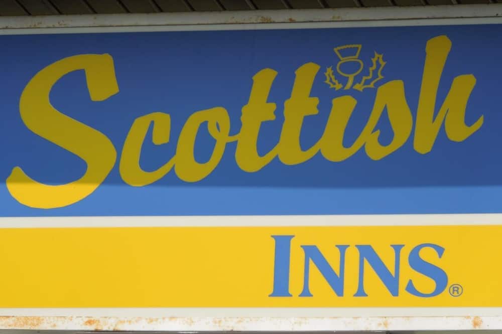 スコティッシュ イン ロンクス 写真