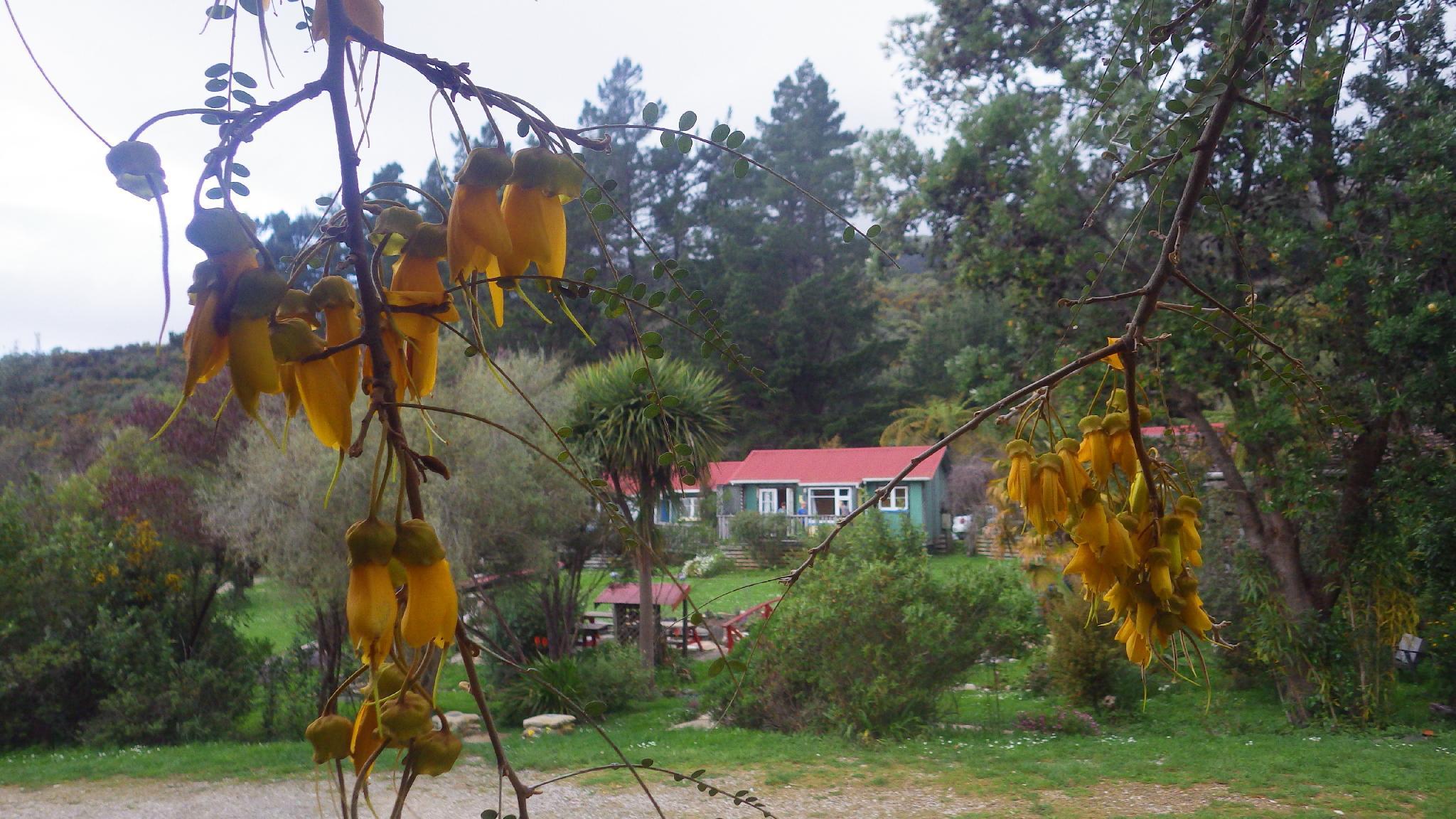 ザ サンドキャッスル 写真