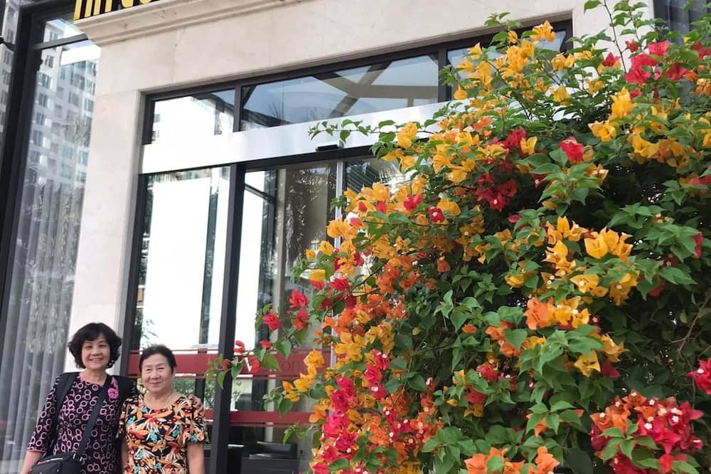 ハロン ニュー センチュリー ホテル 写真