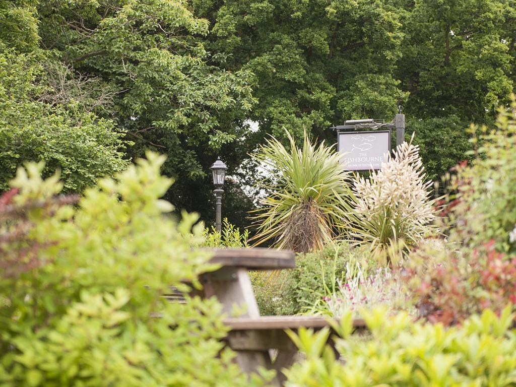 ザ フィッシュボーン - ワイト島 写真