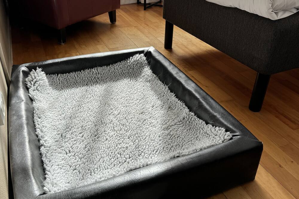 Best Western Hotel Botnia 写真