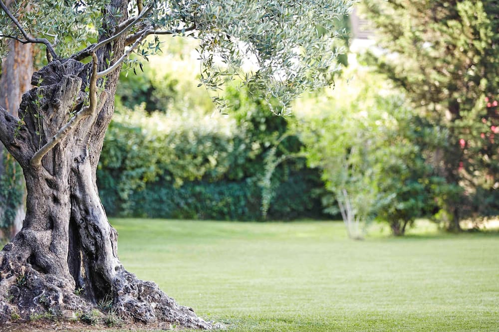 ノボテル メルボルン オン コリンズ 写真