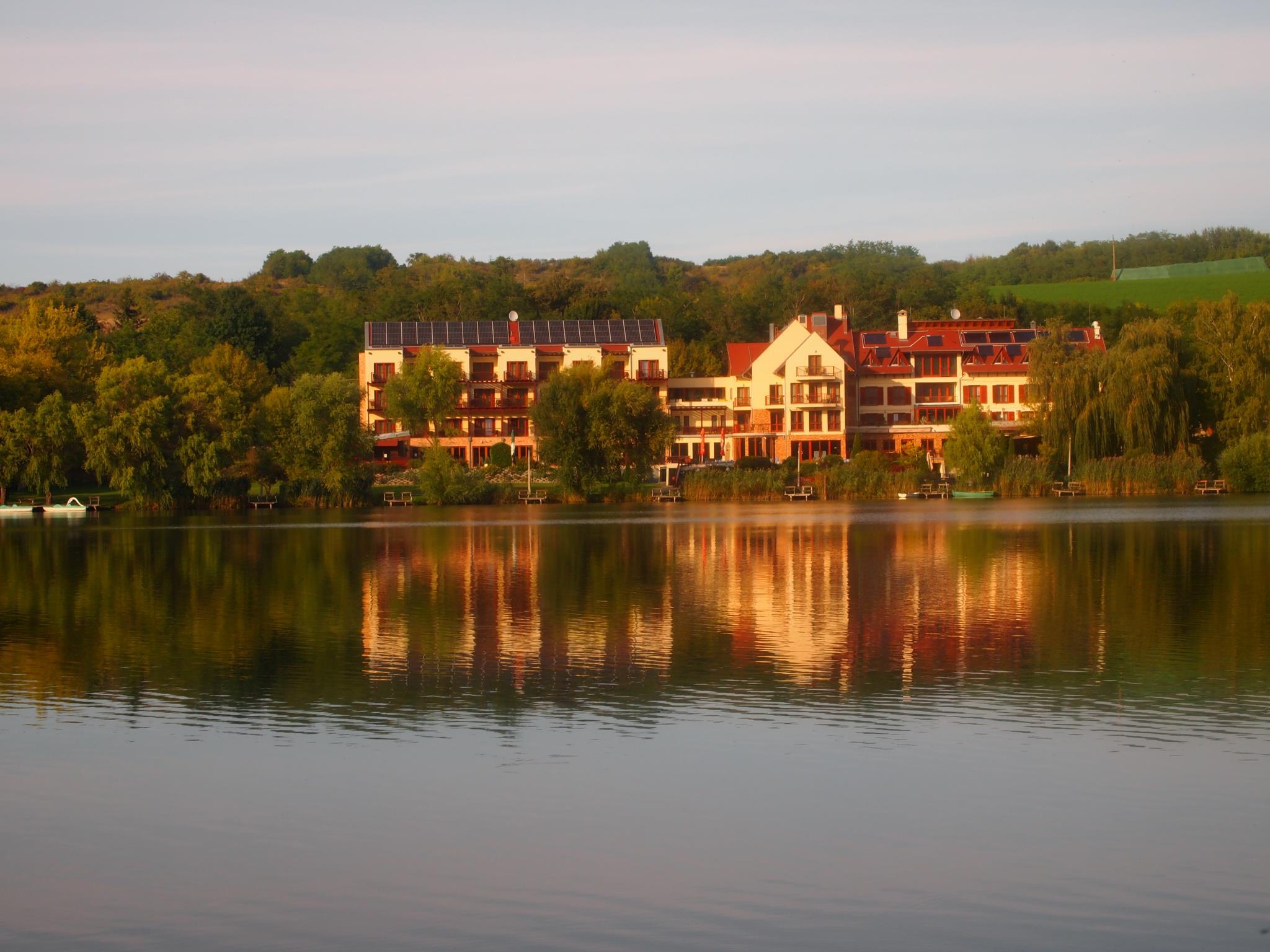 トゥー ウェルネス ホテル 写真