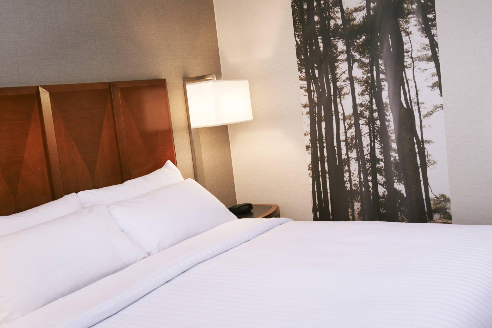 デトロイト メトロ エアポート マリオット 写真